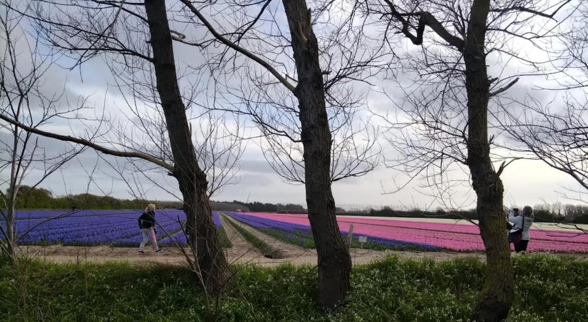 Trouz Ar Mor Villa Penmarcʼh Kültér fotó